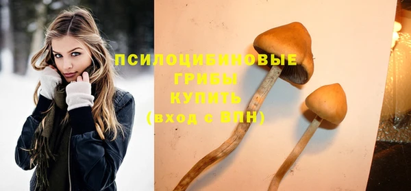бошки Алексеевка