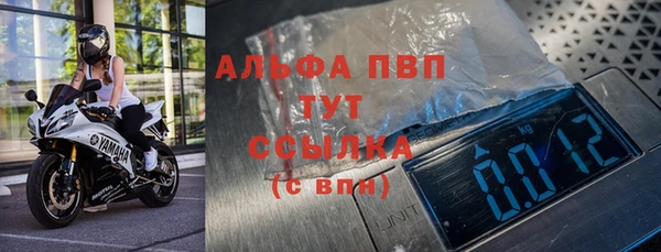 apvp Алзамай