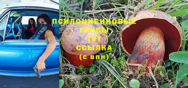 apvp Алзамай
