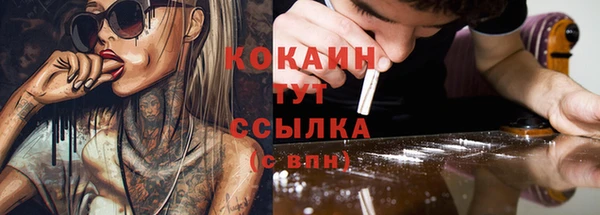 тгк Алексин