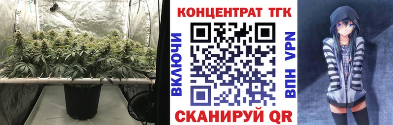blacksprut tor  цена наркотик  Мирный  Дистиллят ТГК вейп с тгк 